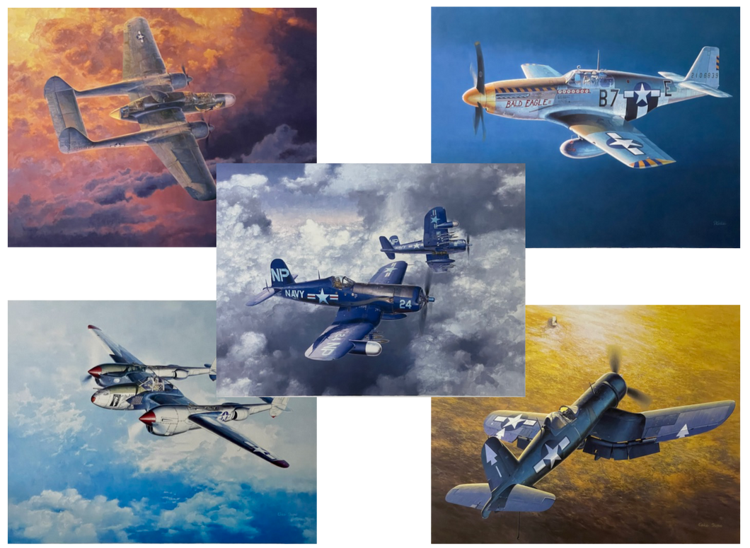 American Fighter Planes (art print bundle)